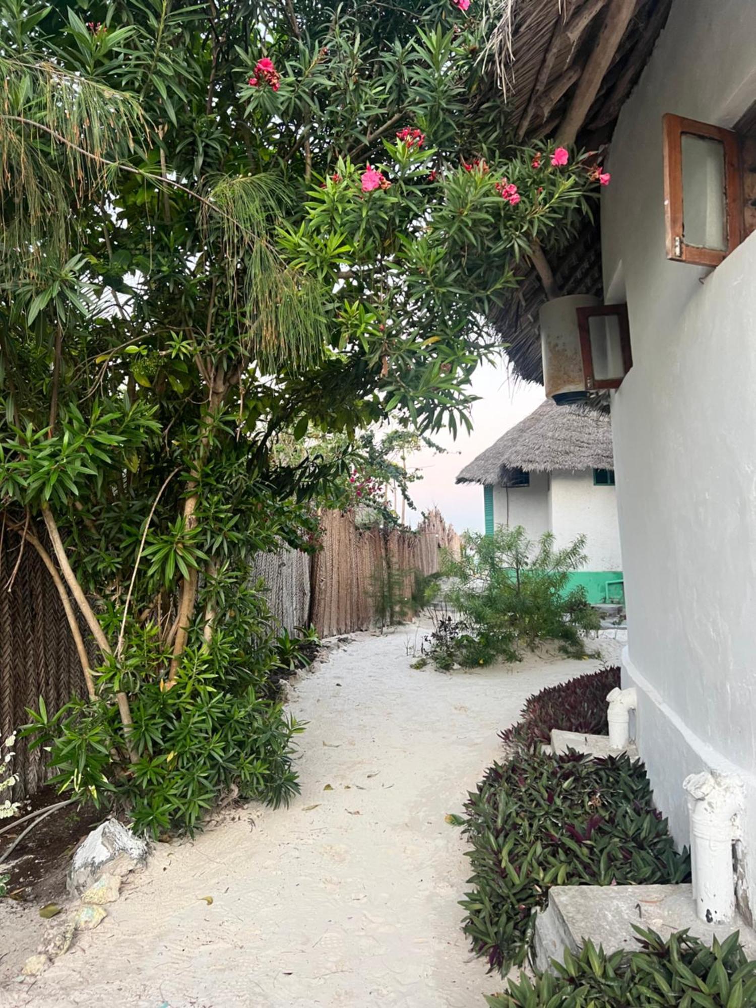 Duara Beach House Paje Exterior foto